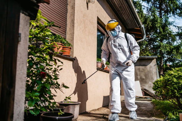 Reliable Pine Grove, PA Pest Control Solutions
