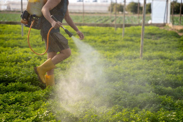 Best Affordable Pest Control Services  in Pine Grove, PA