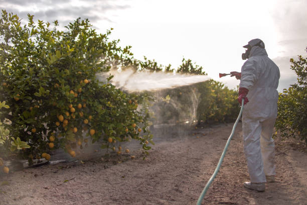 Professional Pest Control in Pine Grove, PA