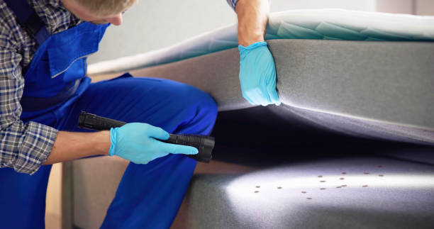 Best Affordable Pest Control Services  in Pine Grove, PA